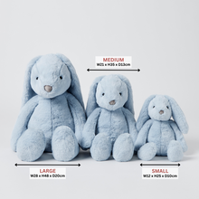 Load image into Gallery viewer, Pale Blue Bunny | Small