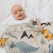 Load image into Gallery viewer, Dino Dinosaur Baby Blanket
